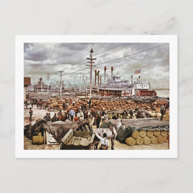 Carte Postale Levee at Canal Street New Orleans 1900 (Devant)