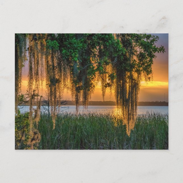 Carte Postale Levée de soleil de Mossy (Devant)