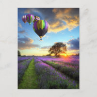 Levée de soleil et montgolfières au-dessus du cham