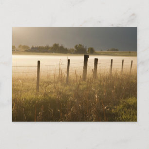 Carte Postale Lever de soleil éclairant le brouillard le long d'