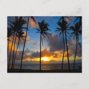 Carte Postale Lever de soleil hawaïen