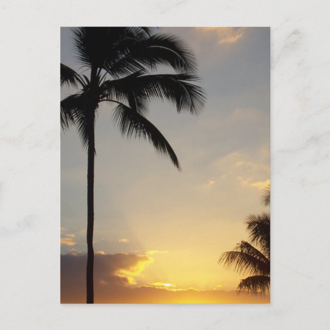 Carte Postale Lever de soleil hawaïen (Devant)
