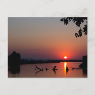 Carte Postale Lever de soleil sur le fleuve Zambèze