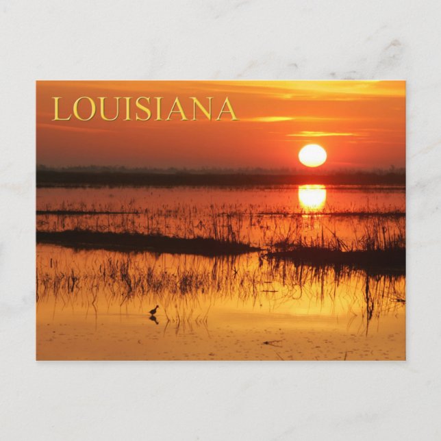 Carte Postale Lever de soleil sur les eaux côtières de la Louisi (Devant)