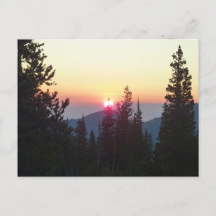 Carte Postale Lever du soleil dans la forêt à Rocky Mountain