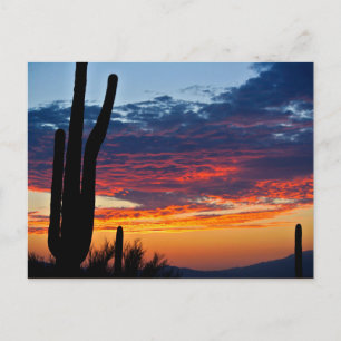 Carte Postale Lever du soleil de Cactus