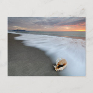 Carte Postale Lever Du Soleil Sur La Plage Et Un Coquillage