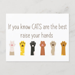 Carte Postale Levez Les Mains Les Chats Sont Les Meilleurs Citat
