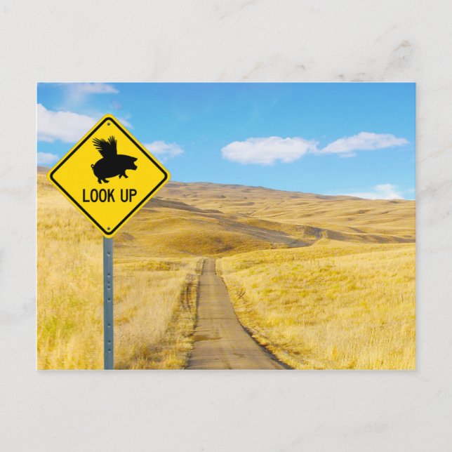 Carte Postale Levez Vos Yeux Pour Les Porcs Peut Voler (Devant)