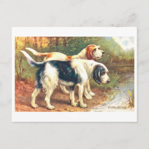 Carte Postale Lévriers des loutres vintage