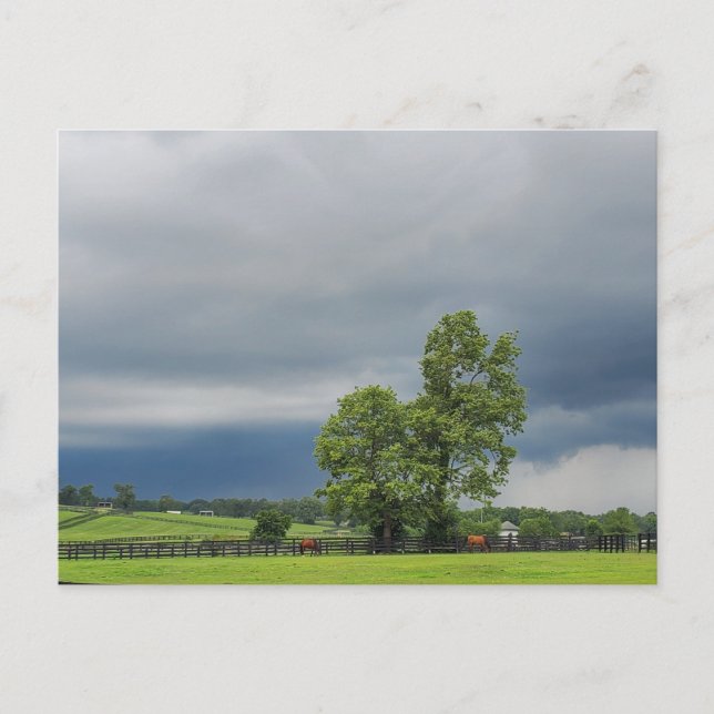 Carte Postale Lexington, Kentucky (Devant)