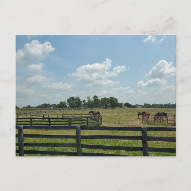 Carte Postale Lexington, Kentucky (Devant)