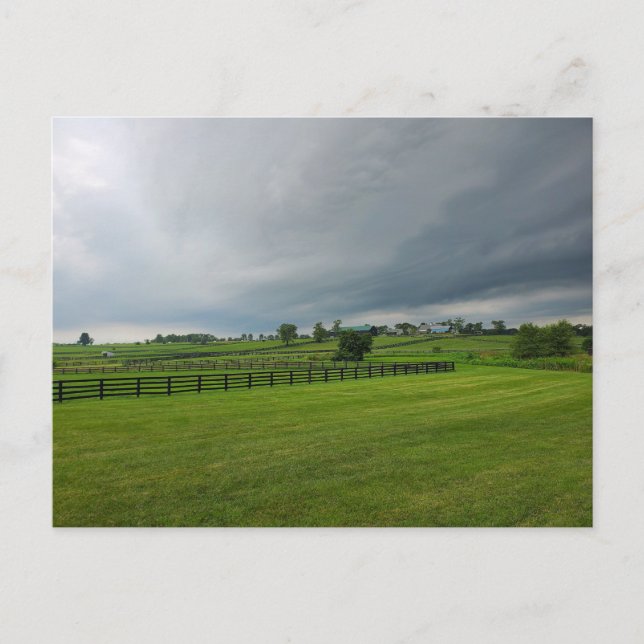 Carte Postale Lexington, Kentucky (Devant)