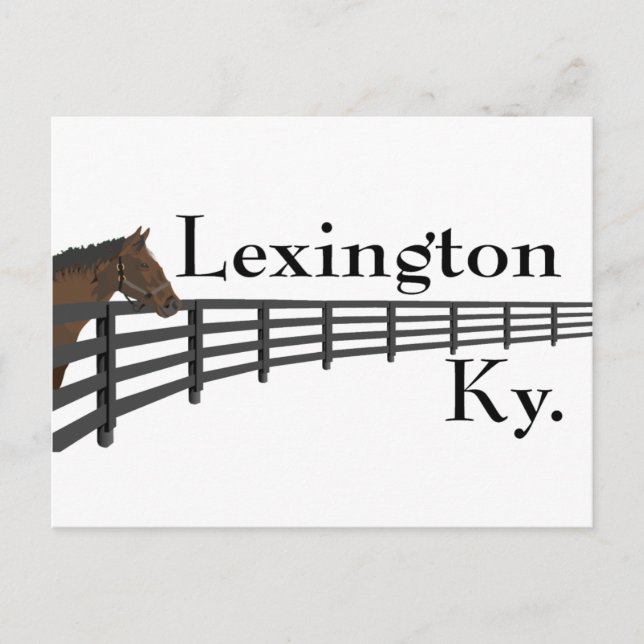 Carte Postale Lexington Kentucky Horse et clôture (Devant)
