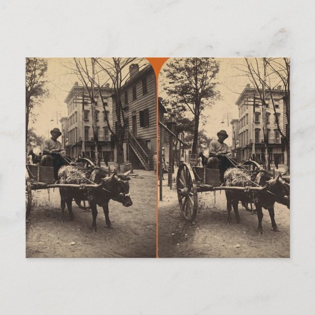 Carte Postale L'Express de la foudre, Savannah, Ga c. 1886 (Devant)
