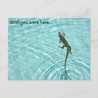Carte postale Lézard de natation