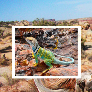 Carte Postale Lézard Grillé, Alibates Flint Quarries, Texas