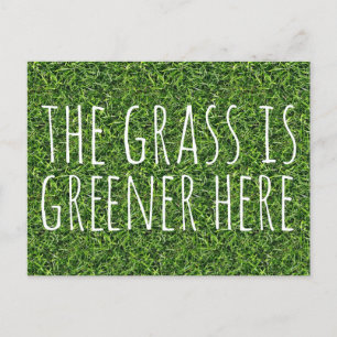 Carte Postale L'Herbe Y Est Plus Verte