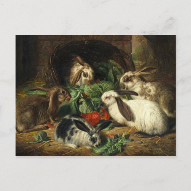 Carte Postale L'heureuse famille des lapins par Alfred Barber (Devant)