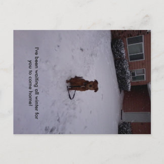 Carte Postale L'hiver