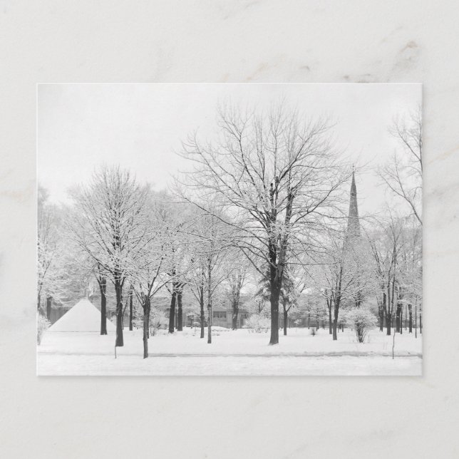 Carte Postale L'hiver dans le parc, 1915 (Devant)