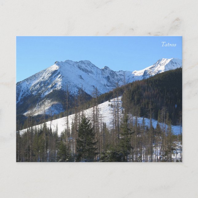Carte Postale L'hiver des Tatras (Devant)