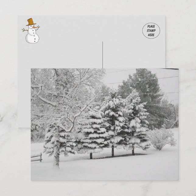 Carte Postale L'hiver neigeux du Vermont en B&W (Devant / Derrière)