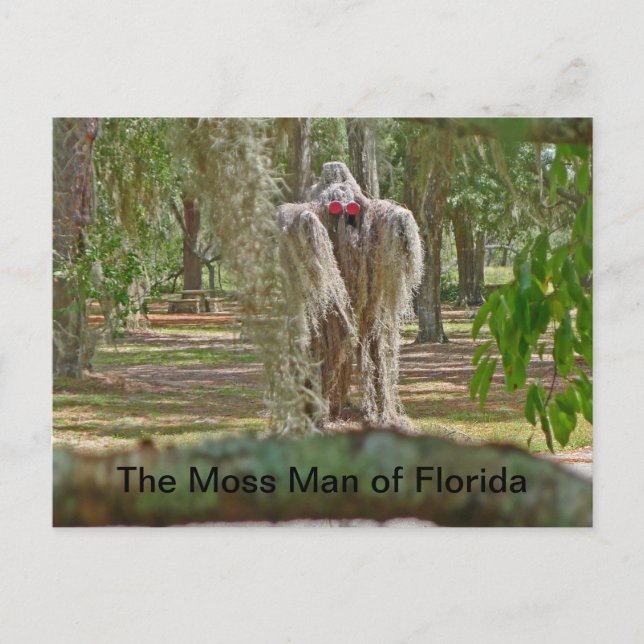 Carte Postale L'homme de la mousse de Floride (Devant)