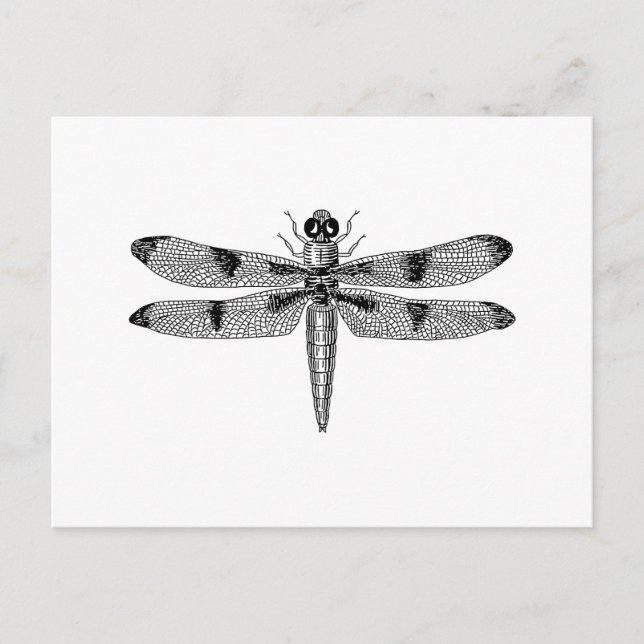 Carte Postale libellule (Devant)
