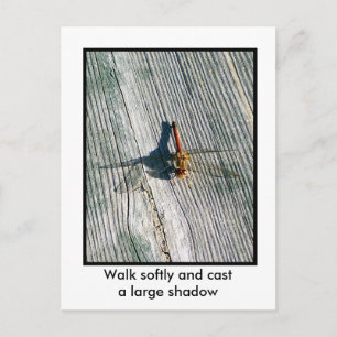 Carte Postale libellule