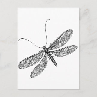 Carte Postale libellule
