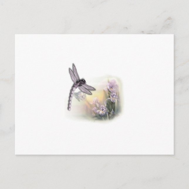 Carte Postale libellule (Devant)