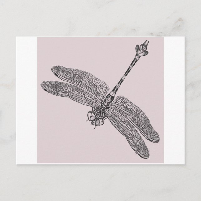 Carte Postale libellule (Devant)