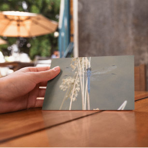 Carte Postale libellule bleue