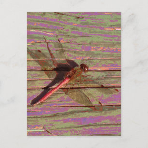 Carte Postale Libellule Colorée