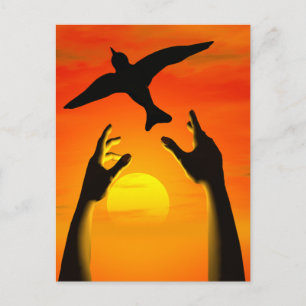Carte Postale Liberté