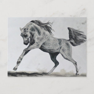 Carte Postale Liberté d'esprit