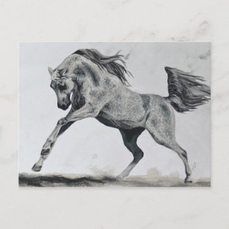 Carte Postale Liberté d'esprit