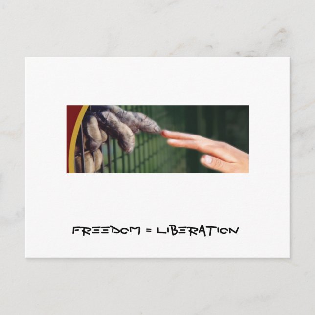 Carte Postale Liberté = libération (Devant)