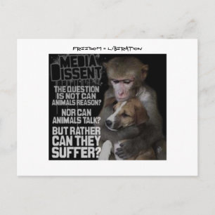 Carte Postale Liberté = Libération