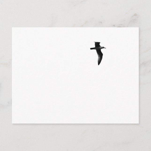 Carte Postale Liberté vraie (Devant)