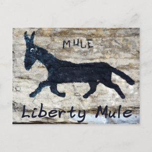 Carte Postale Liberty Mule - Liberty, TN