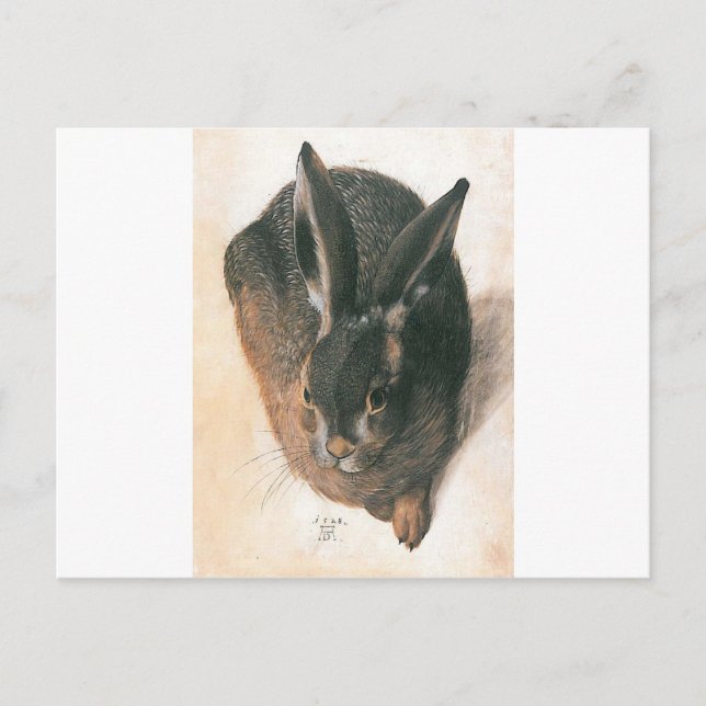 Carte Postale Lien par Albrecht Durer (Devant)