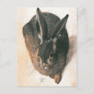 Carte Postale Lien par Albrecht Durer