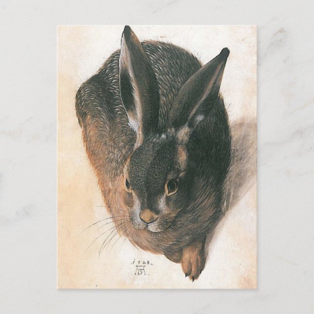 Carte Postale Lien par Albrecht Durer (Devant)