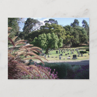 Carte Postale Lieux de repos