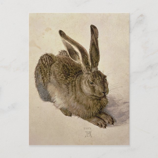 Carte Postale Lièvre, 1502 (Devant)