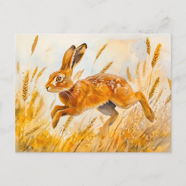 Carte Postale Lièvre dans un champ de maïs aquarelle peinture (Devant)