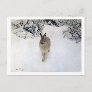 Carte Postale Lièvre d'hiver (lapin), Bruno Liljefors