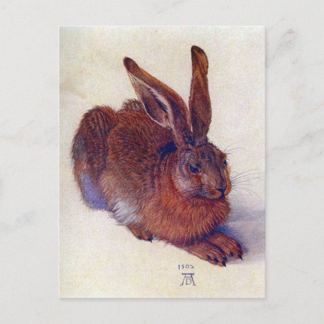 Carte Postale Lièvre jeune par Albrecht Durer, Art Renaissance (Devant)